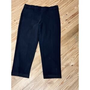 Alfred Dunner Black Comfort-Waist Proportioned Classic Fit Pants Women’s Size 14